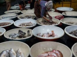 POTRET: Makanan. (Dok. Istimewa)