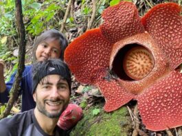 POTRET: Wisatawan asing dari Inggris berfoto di lokasi Bunga Rafflesia Arnoldii mekar di wilayah Desa Selamat Sudiarjo, Kecamatan Bermani Ulu, Kabupaten Rejang Lebong, Provinsi Bengkulu. (Dok. Istimewa)