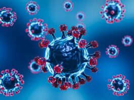 ILUSTRASI: Virus. (Dok. Istimewa by Freepik @freepik)