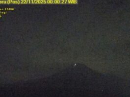 Hembusan asap keluar dari puncak Gunung Semeru di Lumajang, Jawa Timur, Sabtu (22/11/2025) dini hari. (Dok. Istimewa)